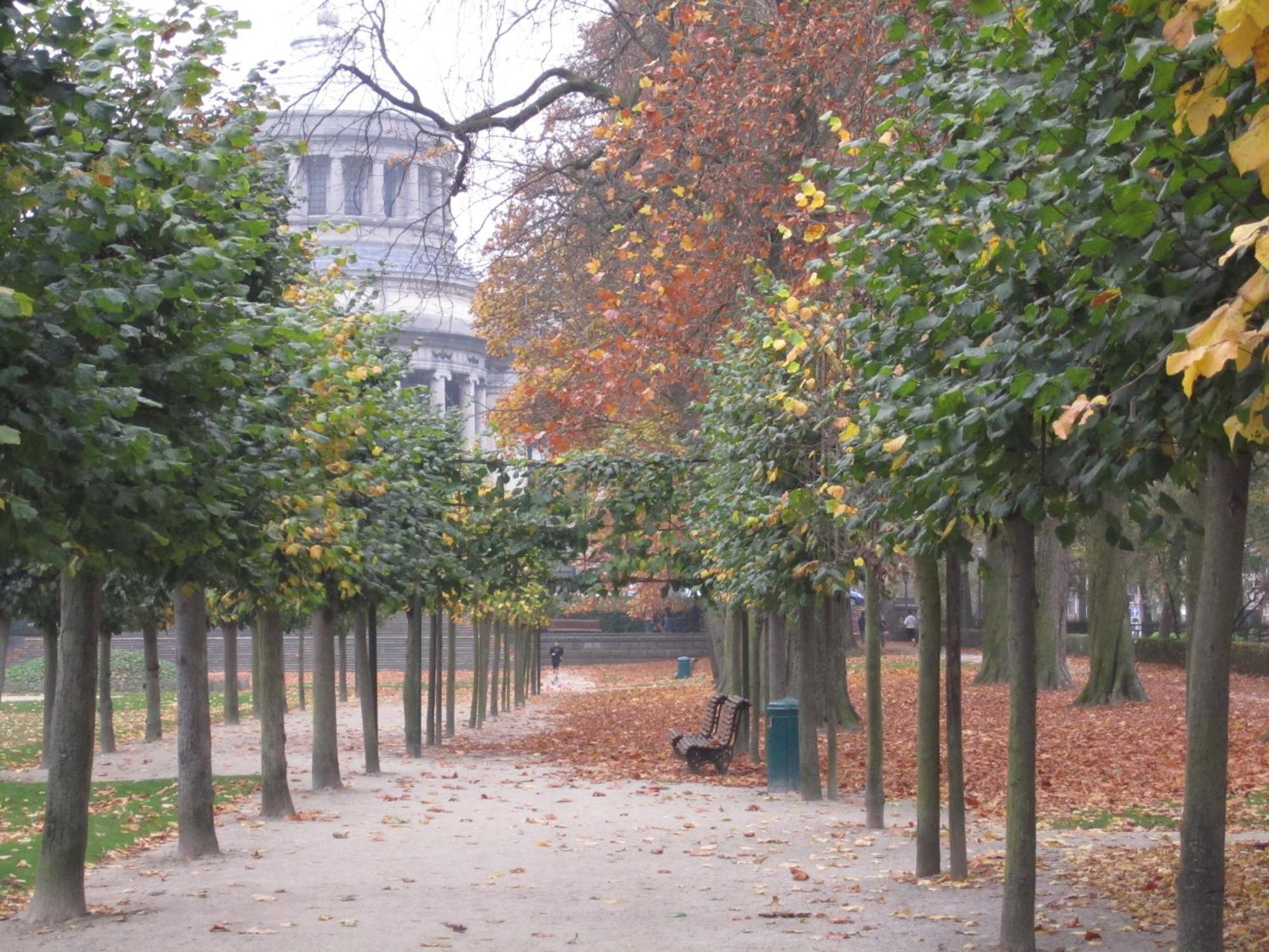 B&B A Cote Du Cinquantenaire Etterbeek 외부 사진